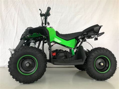 Super Starker 1000 Watt Kinder Elektro Quad ATV Acheter Sur Ricardo