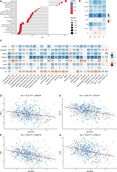 Establishment And Validation Of An Eight Gene Metabolicrelated