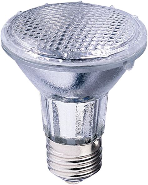 Globe Electric 00311 50 Watt Par 20 Flood Light Halogen Medium Base