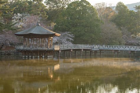 Todaiji Temple Shosoin Temple Treasure House Japan 〒 Nara Nara