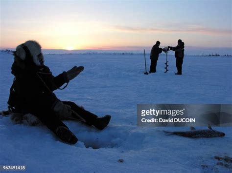 267 Kotzebue Alaska Stock Photos, High-Res Pictures, and Images - Getty Images