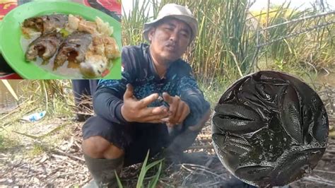 Survival Alam Liar Memancing Dan Masak Ikan Dirawa Hutan Sawit