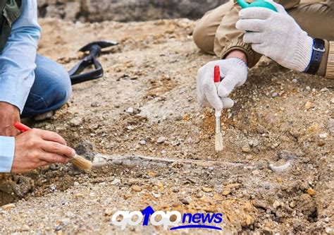 Los Cientificos Han Descubierto Los Restos Fosiles Mas Antiguos De Un