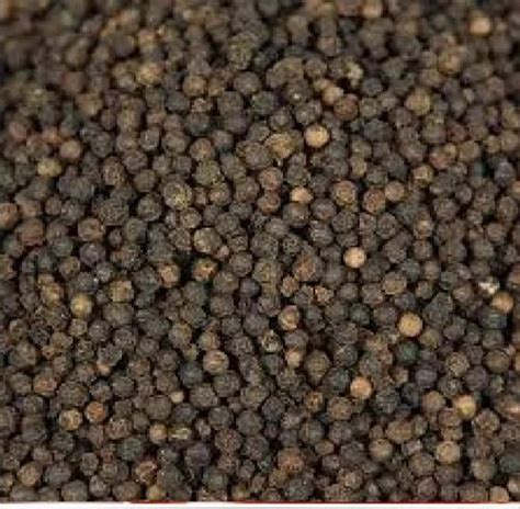 Lampong Black Pepper Asta Quality G L At Kg In New Delhi