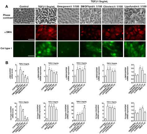 Lipofundin Mct Lct B Bioz