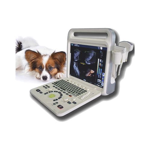 Ec Grafo Veterinario Port Til Xf V Xianfeng Ultrasound Medical