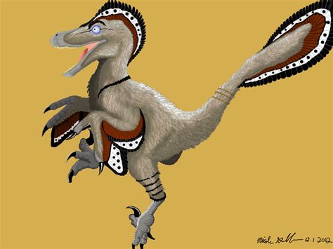 Balaur Bondoc by MsMergus on DeviantArt