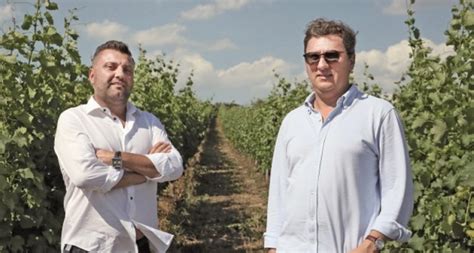 Schimbare De Ac Ionariat La Produc Torul De Vin Turdean Crama La Salina