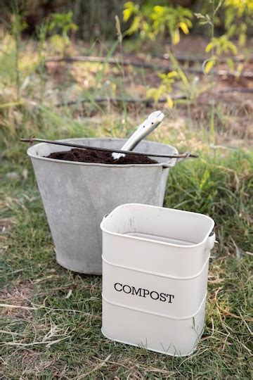 Maximizing Space: Choosing the Perfect Tiny House Composting Toilet ...