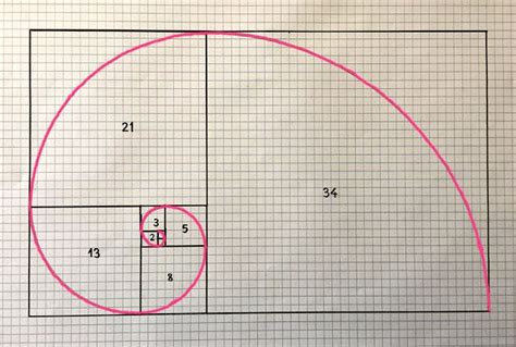 El Matenavegante La Espiral De Fibonacci Dibujo En Papel