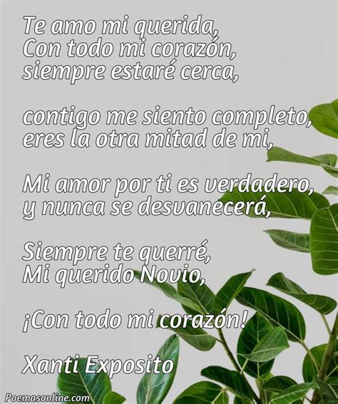 5 Mejores Poemas Para Mi Novio Que Lo Amo Poemas Online