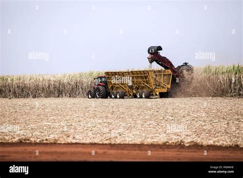 Mechanized Harvesting Of Cane Sugar In The Countryside Stock Photo Alamy