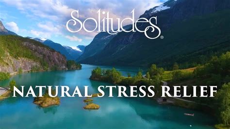 1 Hour Of Stress Relief Music Dan Gibsons Solitudes Natural Stress