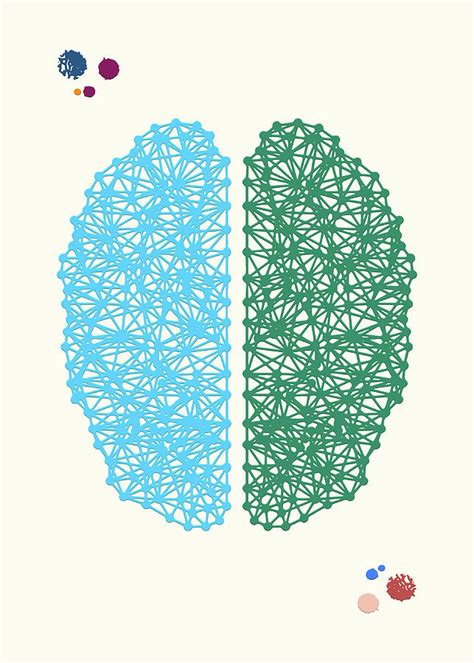 Brain Anatomy Digital Art by Wrenn Huber - Fine Art America