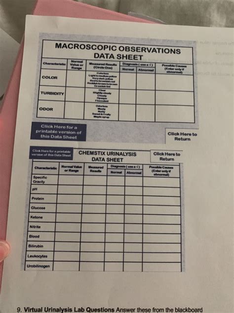 Macroscopic Observations Data Sheet Normal Charee Chegg