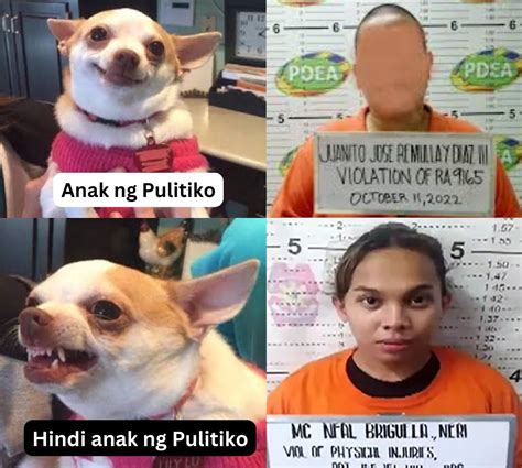 Funny Animal Memes Tagalog