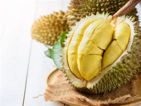 Manfaat Durian Bagi Kesehatan Tubuh Buah Eksotis Kaya Manfaat