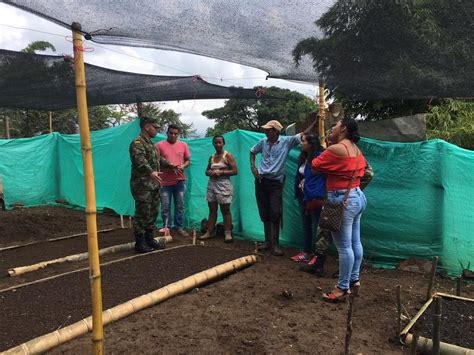 Comando de Acción Integral del Ejército Nacional on Twitter ElDato