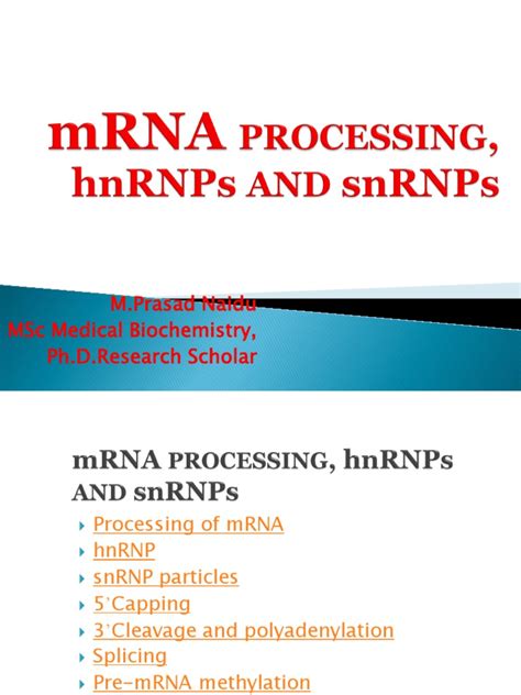 HnRNA Processing | Rna Splicing | Exon