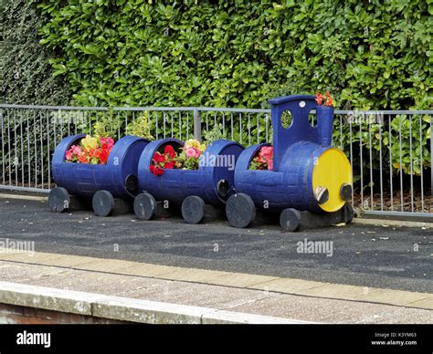 Ornamental train plant flower pot container hi-res stock photography ...