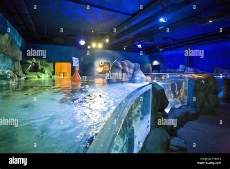 Sea Life Oberhausen, Germany Stock Photo - Alamy