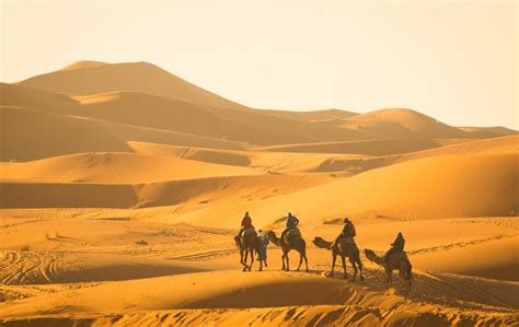 Days Tour From Marrakech To Merzouga Holidays Points