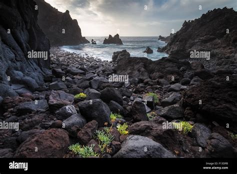 Black volcanic beach, Tenerife, Canary Islands, Spain Stock Photo - Alamy