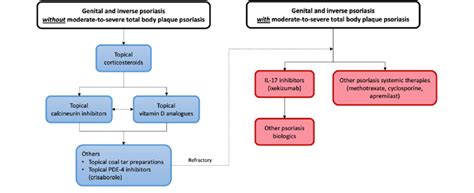 Treatment of genital/inverse psoriasis. IL interleukin, PDE ...