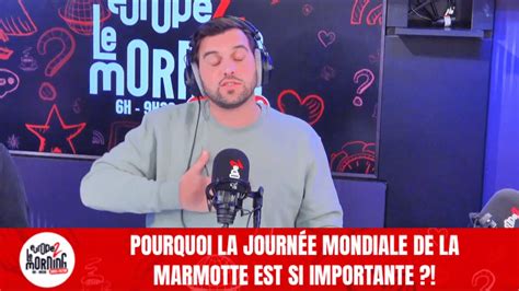 Pourquoi la journée mondiale de la marmotte est si importante Le