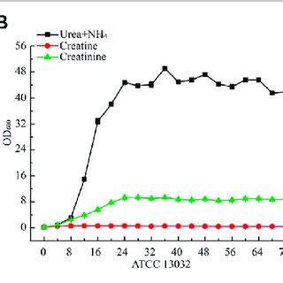 Growth Curve Of C Glutamicum Atcc Wild Type The Cret And C