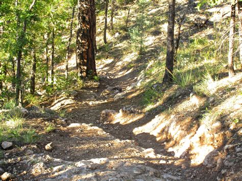 Flagstaff Loop Trail Mountain Bike Trail in Flagstaff, Arizona ...