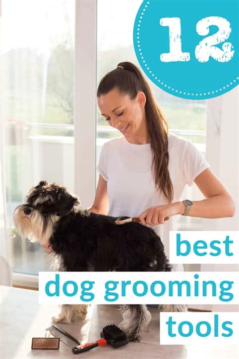 How Do You Groom A Puppy At Home