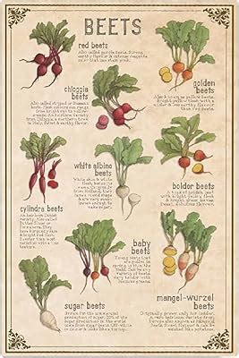 Amazon Vintage Metal Signs For Kitchen Herb Types And Herb Uses