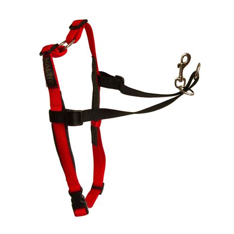 Halti Front Control Harness Vet N Pet Direct