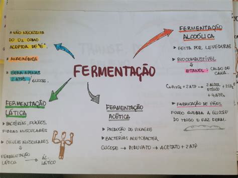 Mapa Mental Fermenta O Biologia