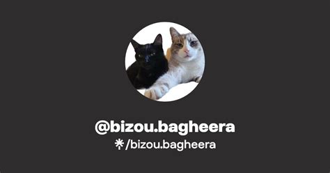 Bizou Bagheera Instagram Tiktok Linktree