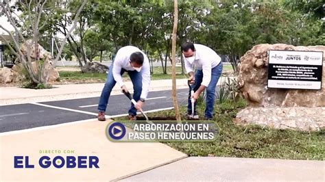 En El Parque Paseo Henequenes Superamos La Meta De Dotar De Mil