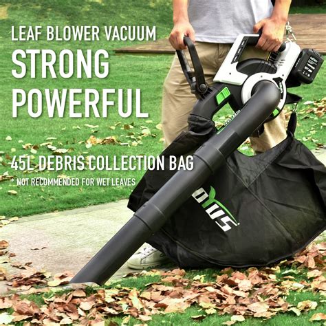 Leaf Blower Vacuum