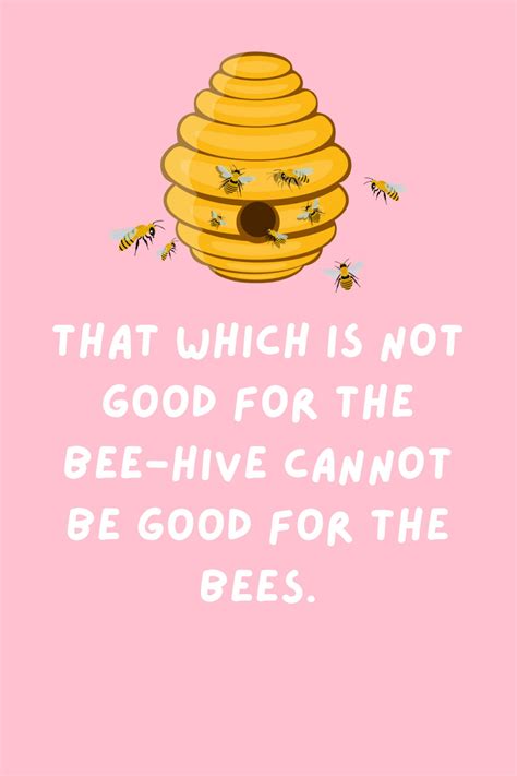 The Sweetest Honey Bee Quotes + Captions - Darling Quote