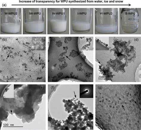 Digital Photos And Morphology Of Waterborne Polyurethane Dispersions