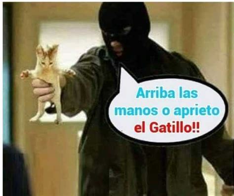 El Gatillo Meme Subido Por Cometorta Memedroid