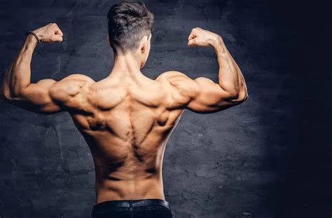 An Overview Of Trenbolone Benefits And Potential Side Effects Driada