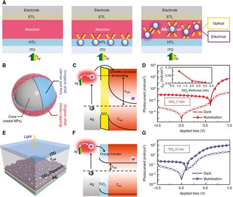 Multiple Synergistic Effect Of Optical Absorption Enhancement And