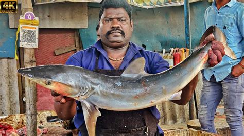 Kasimedu Speed Selvam Shark Fish Cutting Video K Video Km