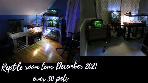 Reptile Room Tour December 2021 Over 30 Pets Youtube