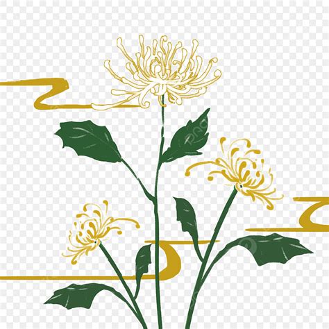 Double Ninth Festival Png Transparent Chrysanthemum Shading On Double