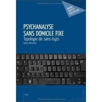 Psychanalyse Sans Domicile Fixe Broch Sandra Meshreky Achat