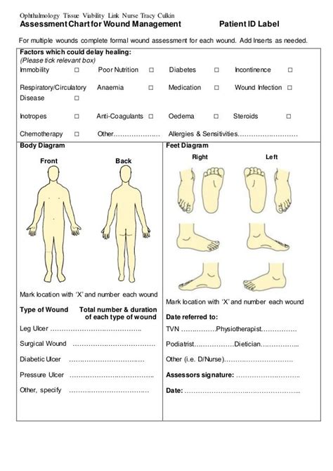 Assessment Chart For Wound Management