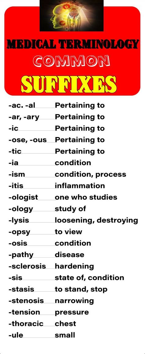 Medical Terminology Chapter Cardiovascular