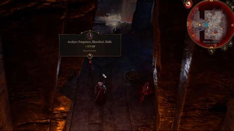 Baldur's Gate 3 Bhaal Temple location guide